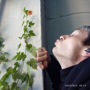  -,   , 38 ,   ,   , c , 