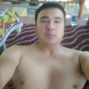  ,   Sher, 37 ,   