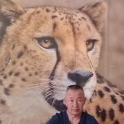  ,   , 61 ,   ,   , c 