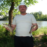 ,   , 48 ,  