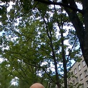  -,   , 48 ,   