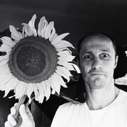 ���������� ����, ���� ������� ������, 38 ���, ������������ ��� ����� � ���������, c�������� ���������