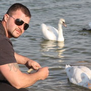  ,   , 42 ,   