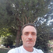  --,   , 49 ,   ,   