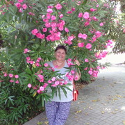  ,   , 62 ,   