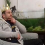 ���������� ��������������, ���� ������� ���� �, 42 ����, ������������ ��� ������, ���������