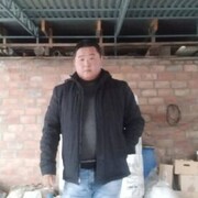 ���������� ������, ���� ������� ���������, 39 ���, ������������ ��� ������, ����� � ���������