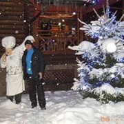 ���������� �������, ���� ������� ����, 45 ���, ������������ ��� ������, ����� � ���������, c�������� ���������