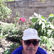  ,   Tevekkul, 70 ,   