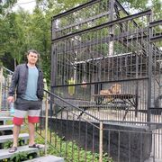 ���������� ����-���������, ���� ������� ������, 33 ����, ������������ ��� ������, ����� � ���������