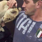 ���������� ������-��-����, ���� ������� �����, 34 ����, ������������ ��� c�������� ���������