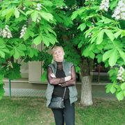  -,   , 56 ,   ,   