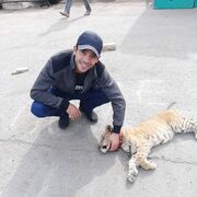  ,   , 35 ,   ,   
