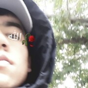 ���������� �����, ���� ����� �������, 24 ����, ������������ ��� ������, ����� � ���������