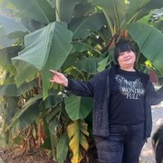 ���������� �������, ���� ������� ��������, 54 ����, ������������ ��� ����� � ���������, c�������� ���������