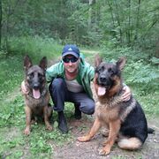 ���������� ������, ���� ������� �������, 36 ���, ������������ ��� ������, ����� � ���������