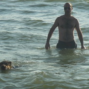  ,   Avto, 47 ,   