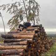  ,   Pavlo, 25 ,   ,   