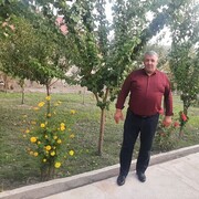 ���������� �����-���������, ���� ������� ������, 58 ���, ������������ ��� ������, ����� � ���������