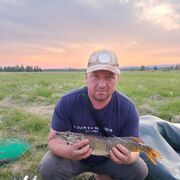 ���������� ����, ���� ������� ���������, 36 ���, ������������ ��� ������, ����� � ���������