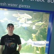  ,   , 36 ,   c , 