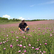 ���������� ������, ���� ������� ������, 39 ���, ������������ ��� ������, ����� � ���������