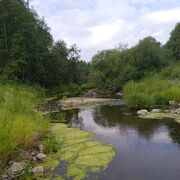  ,   Aleksej, 50 ,   , c , 