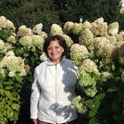 ���������� �������, ���� ������� ������, 68 ���, ������������ ��� ���������