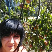 ���������� �����-���������, ���� ������� �����, 58 ���, ������������ ��� ������, ����� � ���������, c�������� ���������