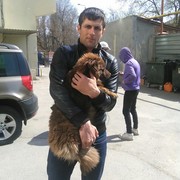  --,   Rasyl, 33 ,     , c 