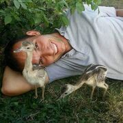 ���������� �����������, ���� ������� ��������, 32 ����, ������������ ��� ������, ����� � ���������, c�������� ���������