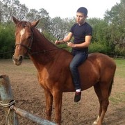 ���������� ������, ���� ������� ������, 37 ���, ������������ ��� ������