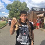 ���������� ����, ���� ������� ���������, 29 ���, ������������ ��� ����� � ���������, c�������� ���������