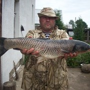 ���������� �����, ���� ������� ������, 50 ���, ������������ ��� ������, ����� � ���������, c�������� ���������