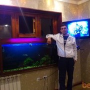 ���������� �����-���������, ���� ������� Bek, 44 ����, ������������ ��� ����� � ���������, c�������� ���������