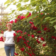  ,   , 53 ,   ,   , c 