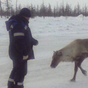 ���������� ���������, ���� ������� ����, 50 ���, ������������ ��� ������, ����� � ���������, c�������� ���������, ���������