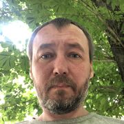  ,   Duck, 41 ,   ,   