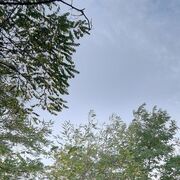  ,   , 57 ,   ,   , 