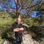 ���������� ����-�����������, ���� ������� ����, 38 ���, ������������ ��� ������