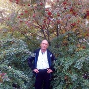  ,   , 61 ,   ,   