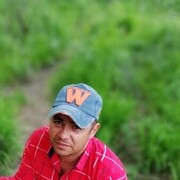  ,   , 41 ,   ,   