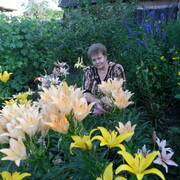  --,   Svetlana, 58 ,     , c 
