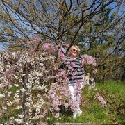 ���������� �������, ���� ������� ���������, 67 ���, ������������ ��� ������, ����� � ���������, c�������� ���������