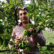  ,   , 41 ,   ,   , c 