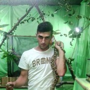 ���������� ������, ���� ������� Andro, 31 ���, ������������ ��� ������, ����� � ���������, c�������� ���������