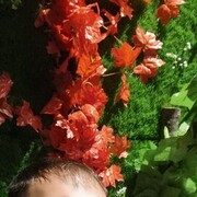  ,   Ildar, 32 ,   ,   , c , 