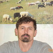  ,   , 59 ,  