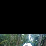 ���������� ���, ������� ����, 33