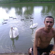  ,   , 49 ,   ,   , c 